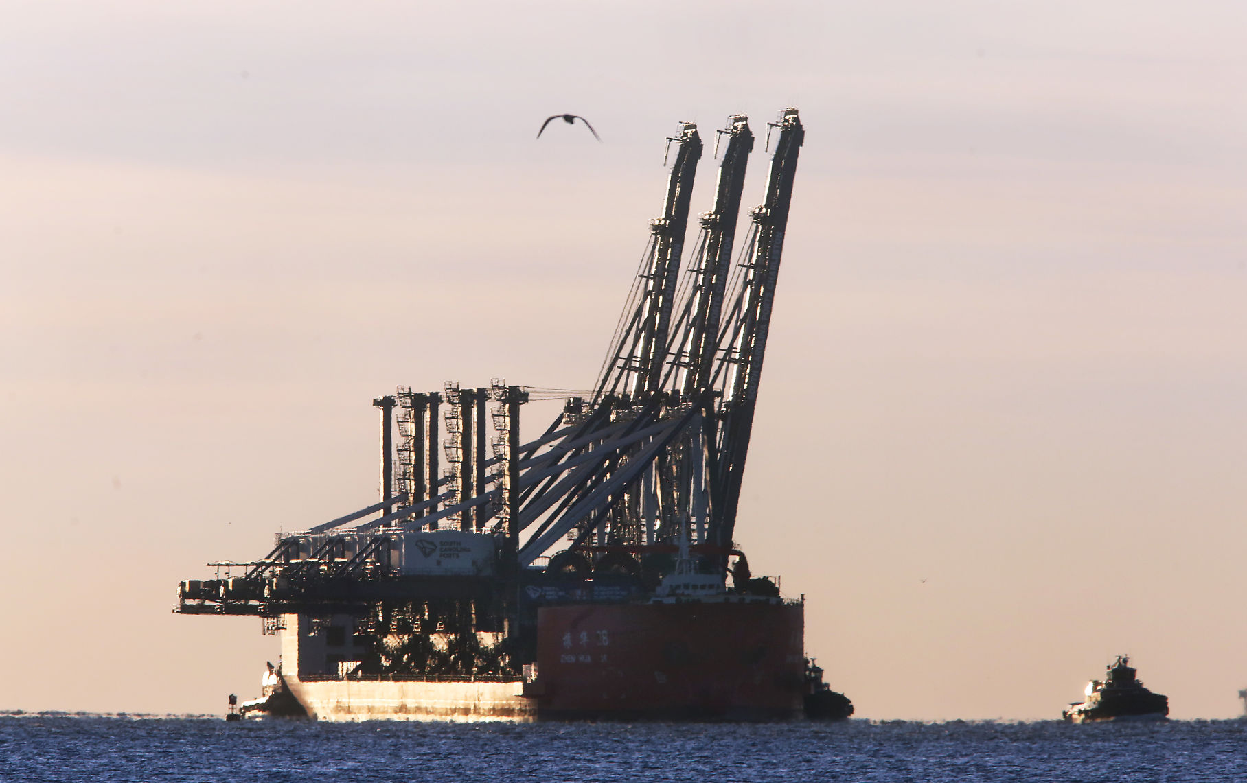 State Ports Authority Cranes